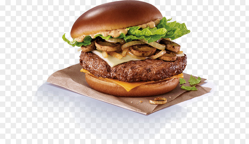 Cheeseburger Pizza McDonald's Hamburger Big Mac Whopper PNG