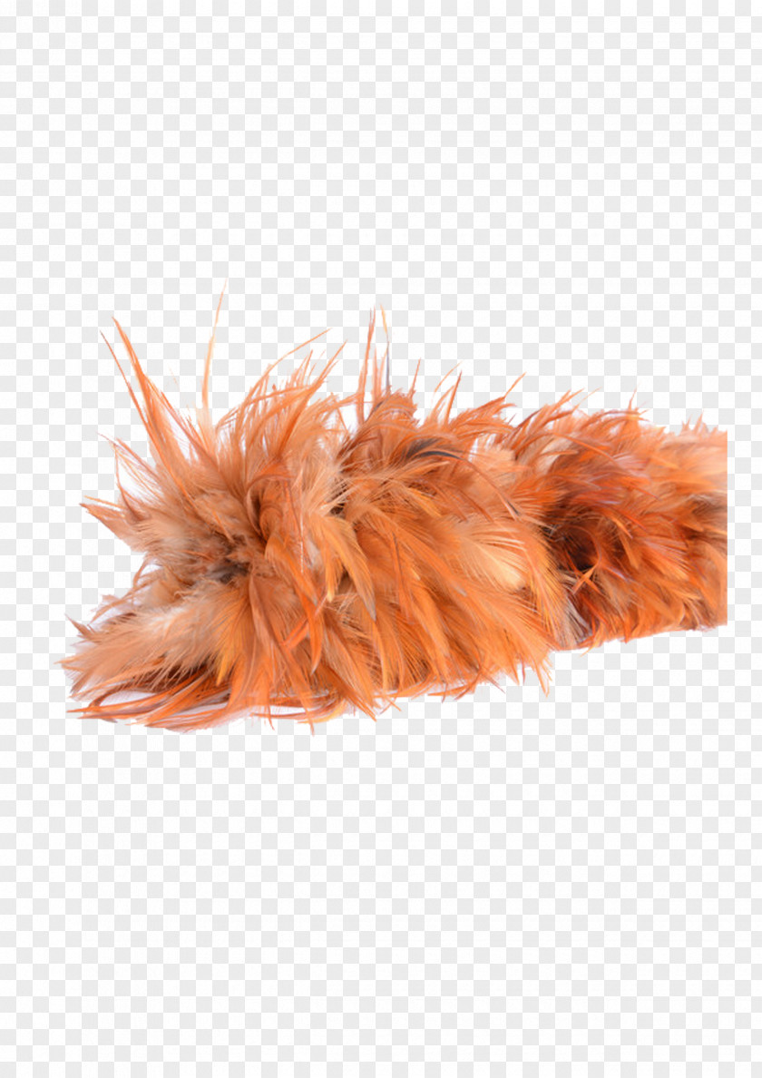 Feather Duster Cleaning PNG