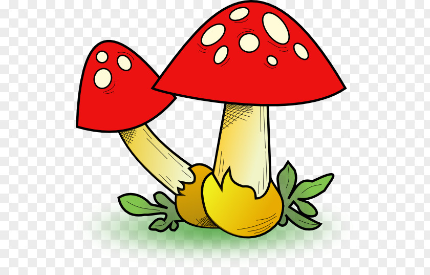 Mushrooms Mushroom Morchella Clip Art PNG