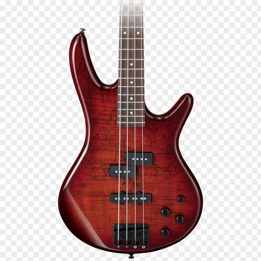 Bass Seven-string Guitar Schecter Research C-1 Hellraiser FR PNG