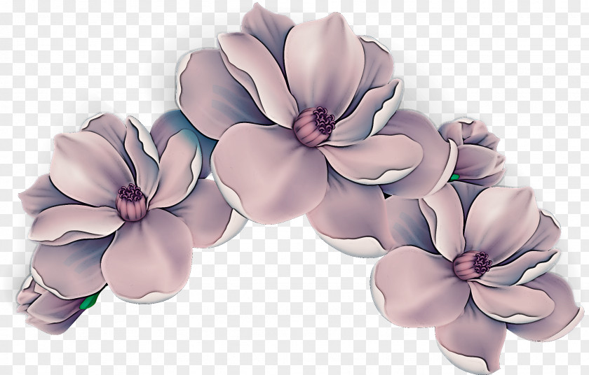 Lavender PNG