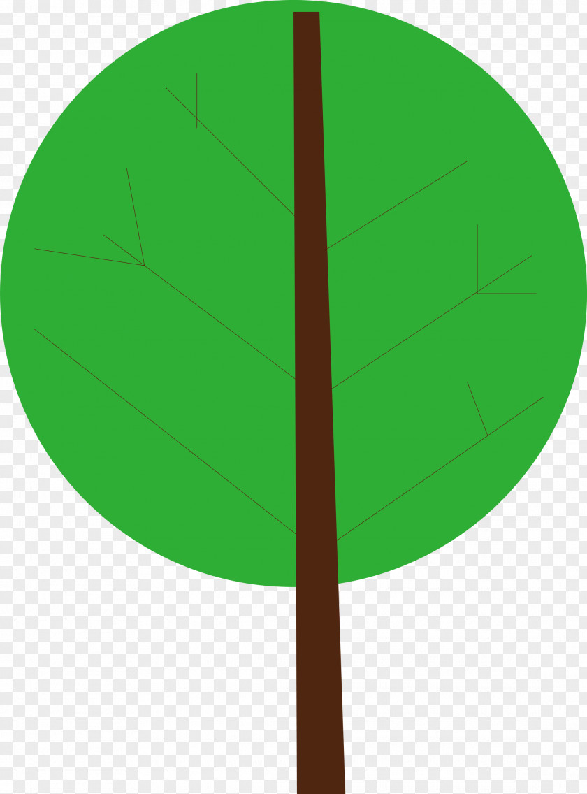 Leaf Plant Stem Angle Line Green PNG