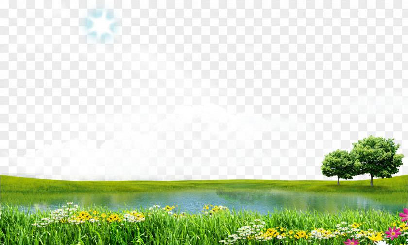 Spring Lake View Download Icon PNG