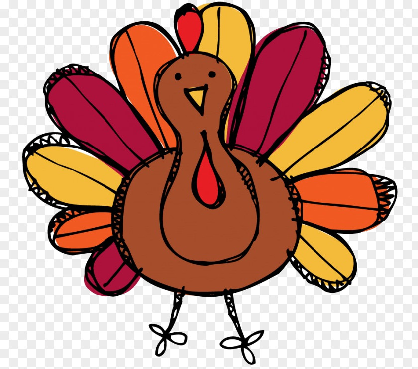 Wing Bird Turkey Thanksgiving Cartoon PNG