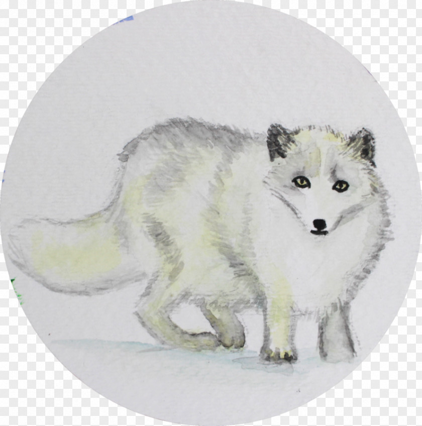 Arctic Fox Dog Alaskan Tundra Wolf Red Canidae PNG