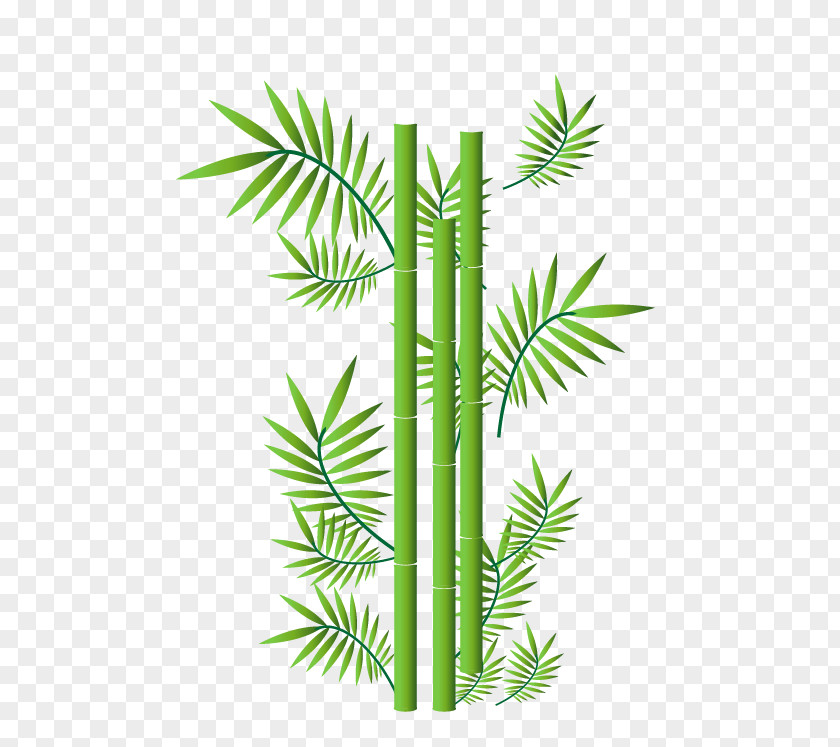 Bamboo Ornament Illustration PNG