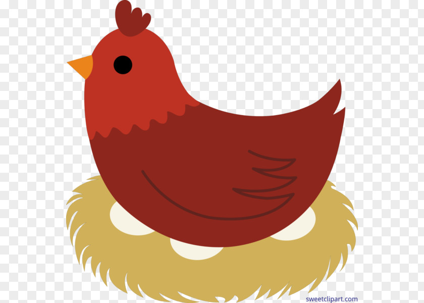 Chicken Egg Hen Clip Art PNG