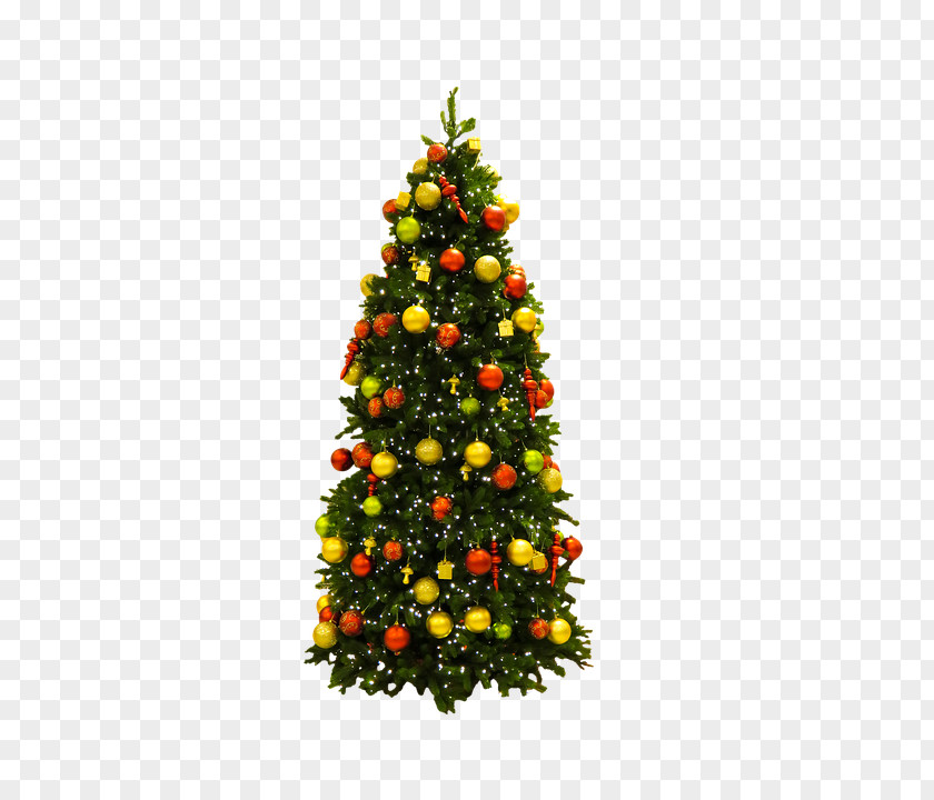 Christmas Tree Ornament Pentecost Lights PNG