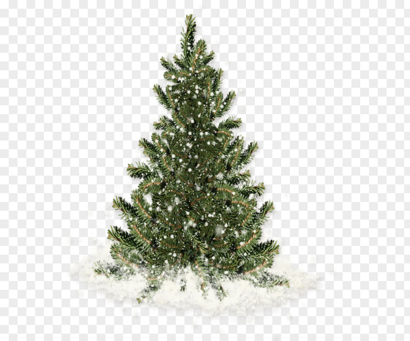 Christmas Tree Ornament Santa Claus Fir PNG