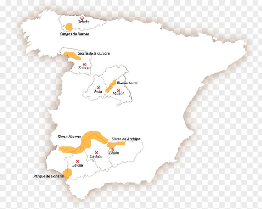 El Oso Pardo Map Spain Area PNG