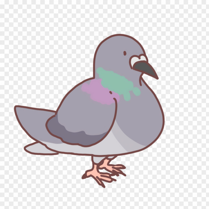 Feather PNG