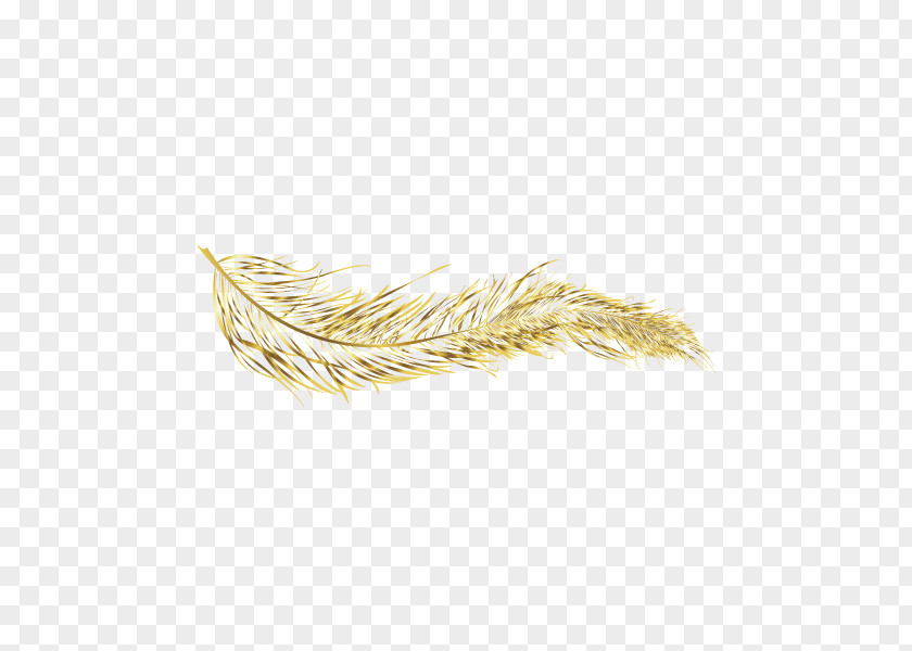 Golden Feather Gold PNG