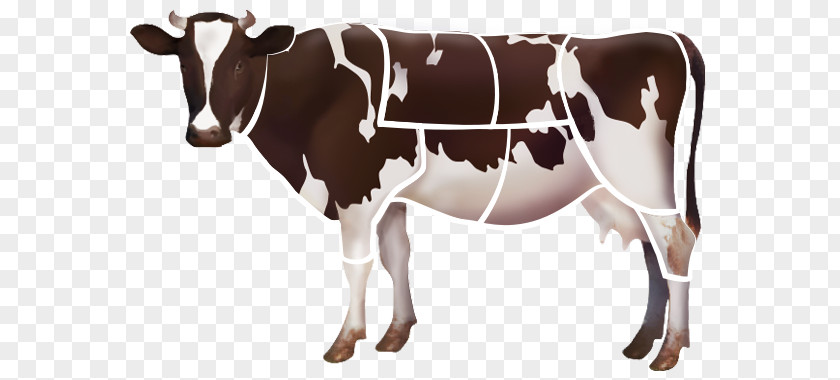 Holstein Friesian Cattle Dairy Livestock Farm Clip Art PNG