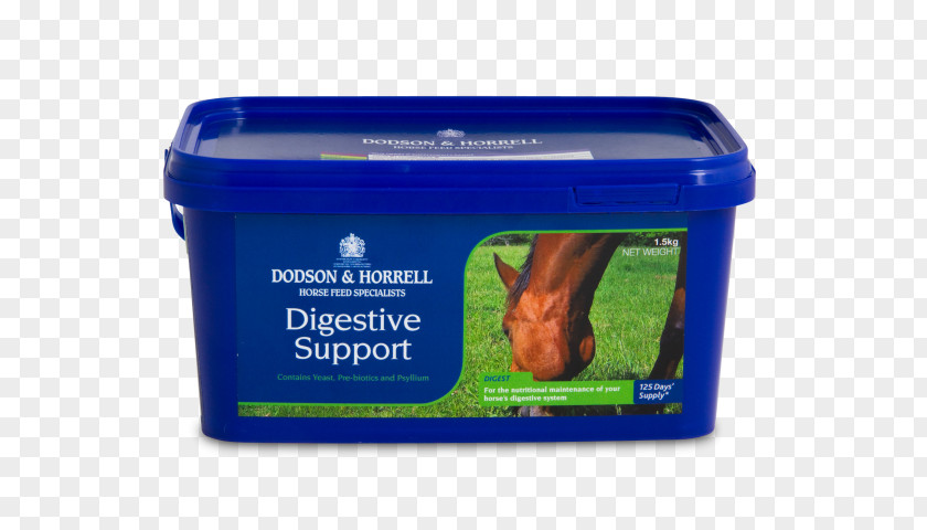 Horse Hound Dietary Supplement Digestion Human Digestive System Mineral PNG