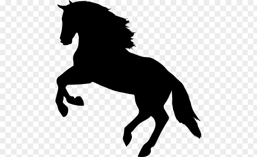 Horses Horse Mare Equestrian Jumping PNG