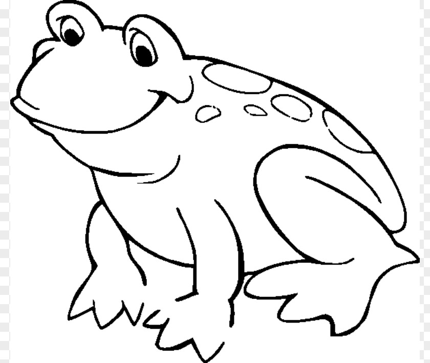 Image Of Frog American Bullfrog Coloring Book Amphibian Child PNG