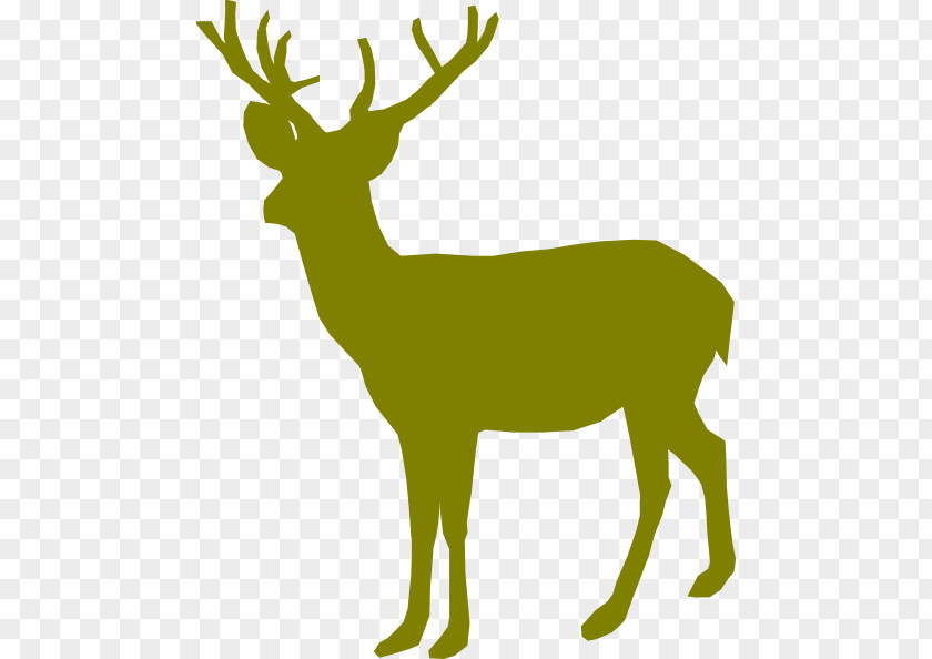 Large Deer Head White-tailed Reindeer Clip Art PNG