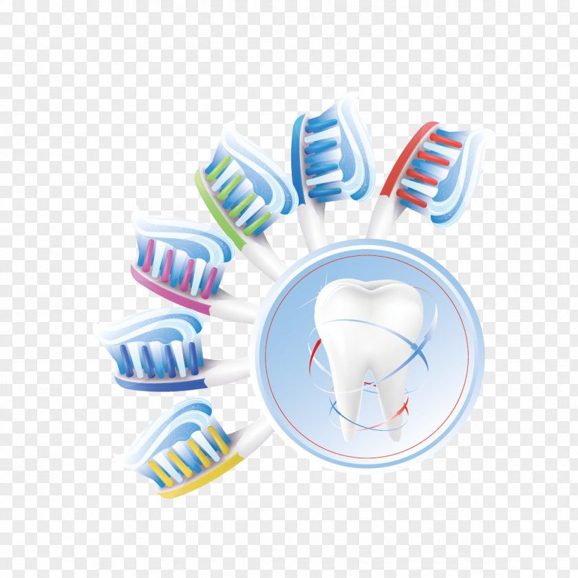 Toothbrush And Teeth Human Tooth Euclidean Vector Cleaning PNG