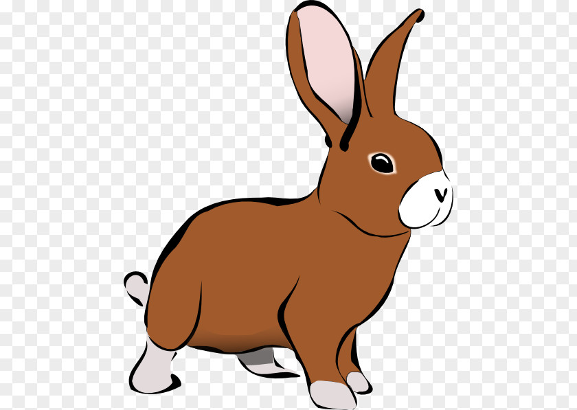Rabbit Clip Art Free Content PNG