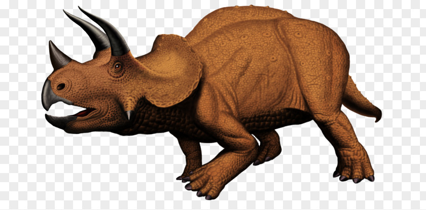 Triceratops Terrestrial Animal Extinction Snout PNG