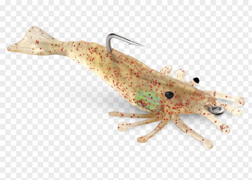 Crab Fishing Bait Soft Plastic PNG bait plastic bait, crab clipart PNG