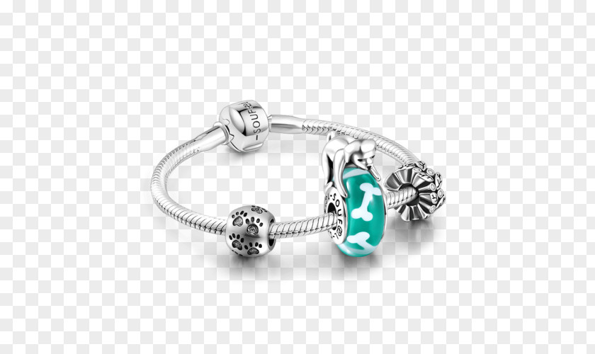 Dog Skeleton Turquoise Bracelet Bangle Bead PNG