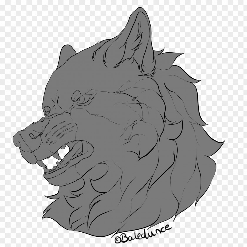Dog Whiskers Cat Art Sketch PNG