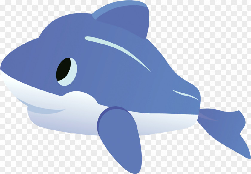 Dolphin Common Bottlenose Clip Art PNG