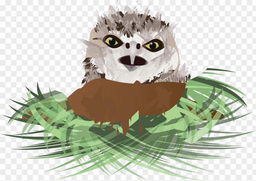 Owl Burrowing Clip Art PNG