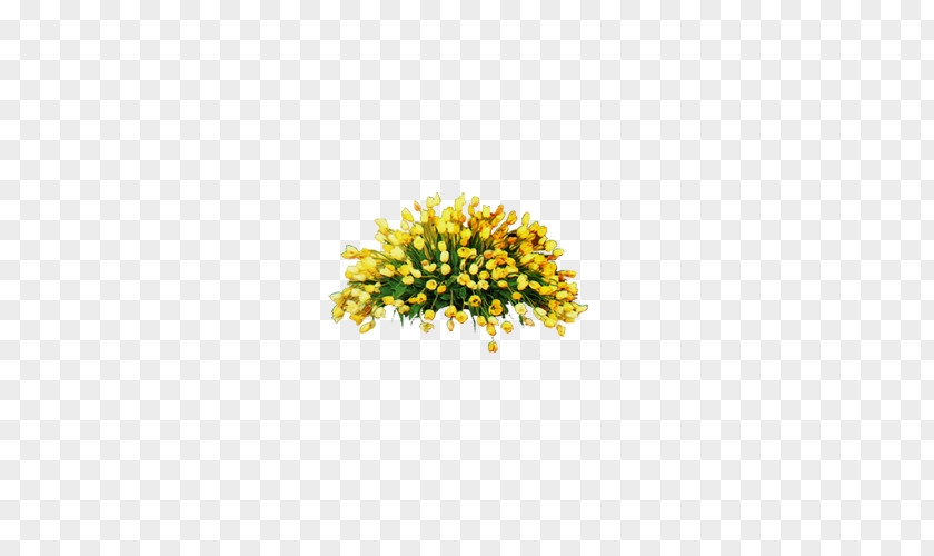 Bouquet Of Flowers Flower Nosegay PNG