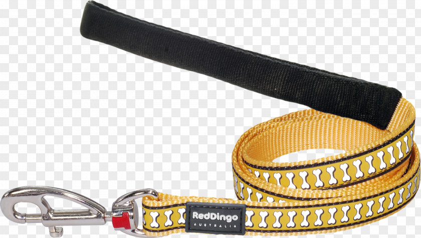 Dog Leash Strap Belt Material PNG