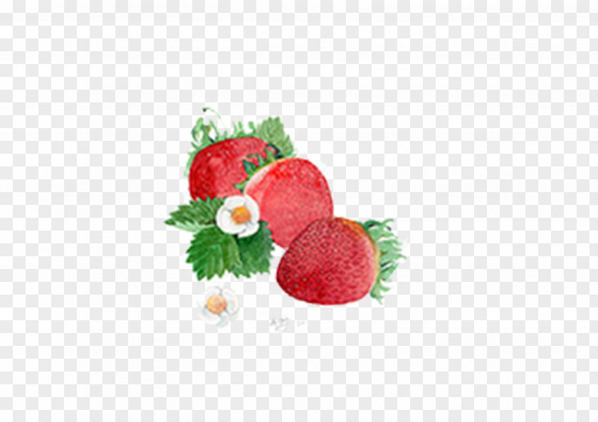 Hand-painted Strawberry Superfood Aedmaasikas White Chocolate PNG