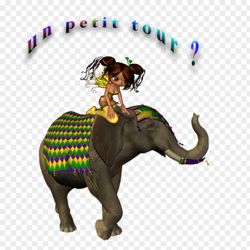 India Indian Elephant African Wildlife PNG