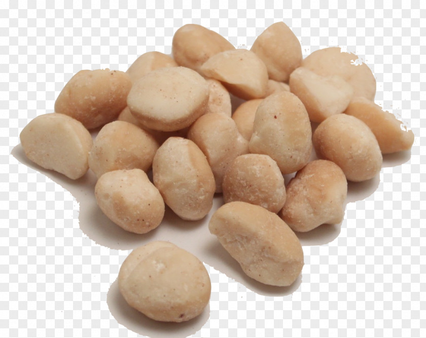 Macadamia Nuts Peanut Ingredient Bean PNG