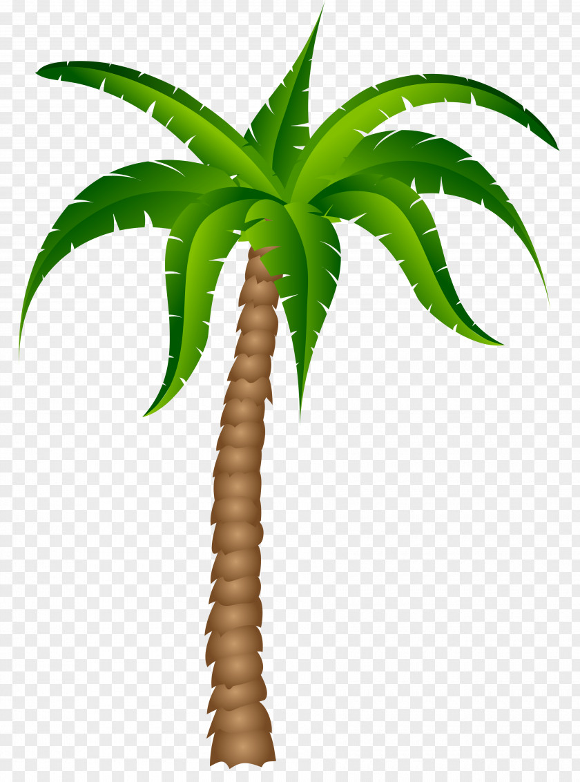 Palm Tree Transparent Picture Trees Clip Art PNG
