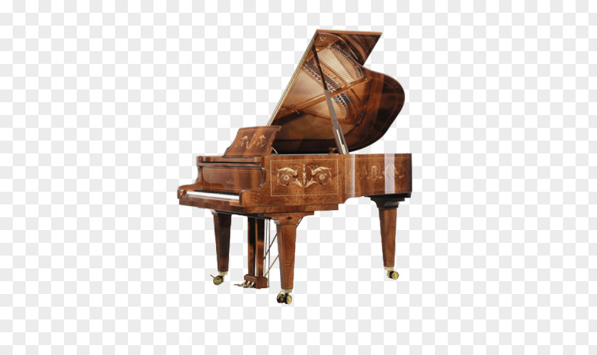 Piano Robert Lowrey Experts Wilhelm Schimmel Grand Musical Instruments PNG