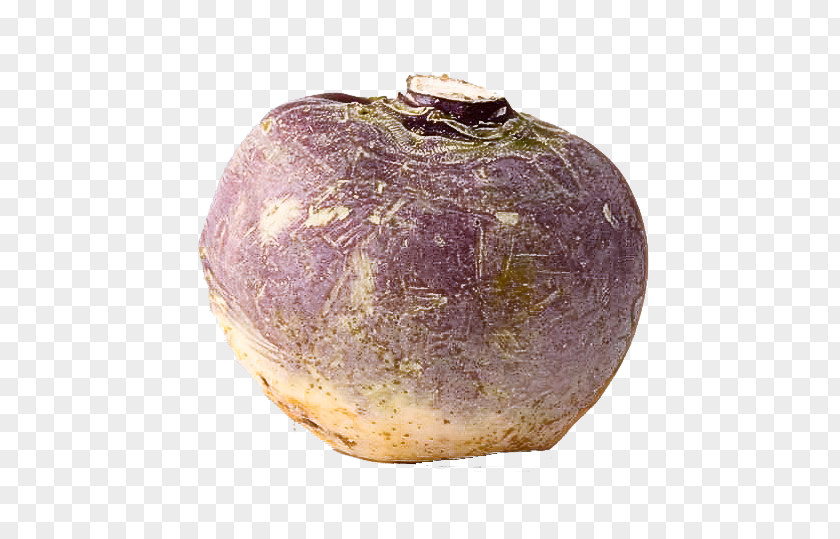 Turnip Amethyst Purple Violet Vase Artifact Rutabaga PNG