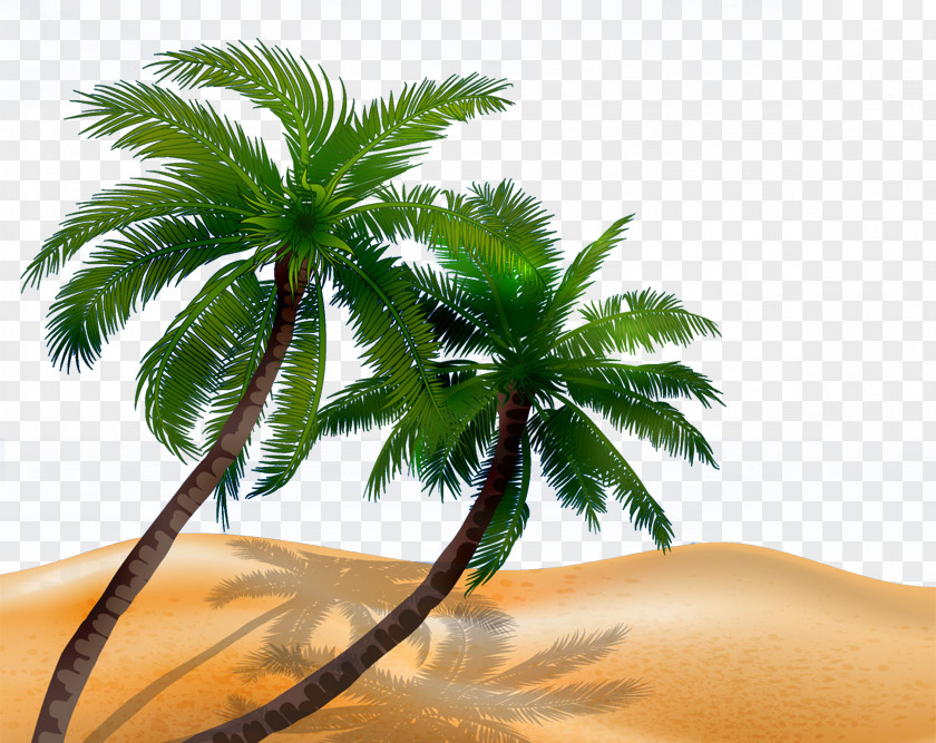 Beach Coconut Tree Arecaceae Silhouette Illustration PNG