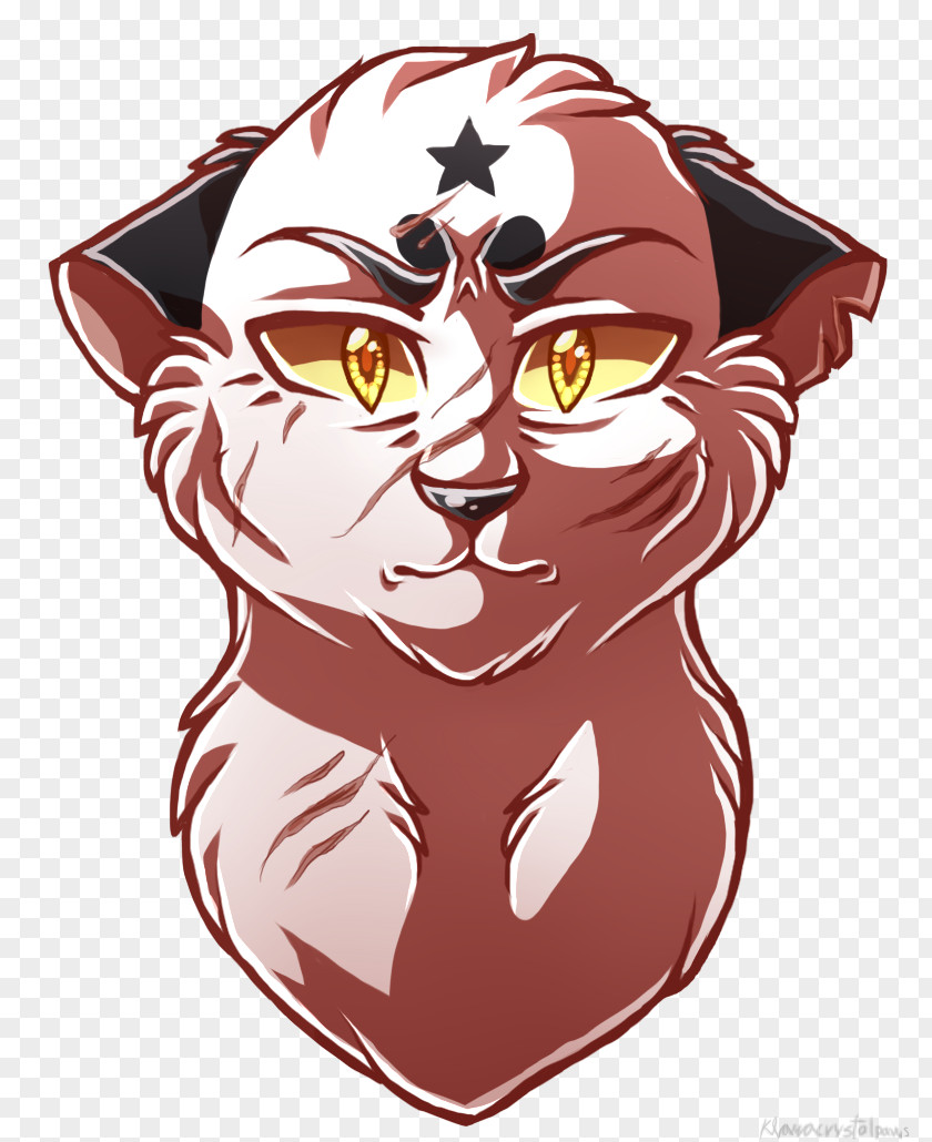 Cat Warriors Blackstar Leafpool Drawing PNG