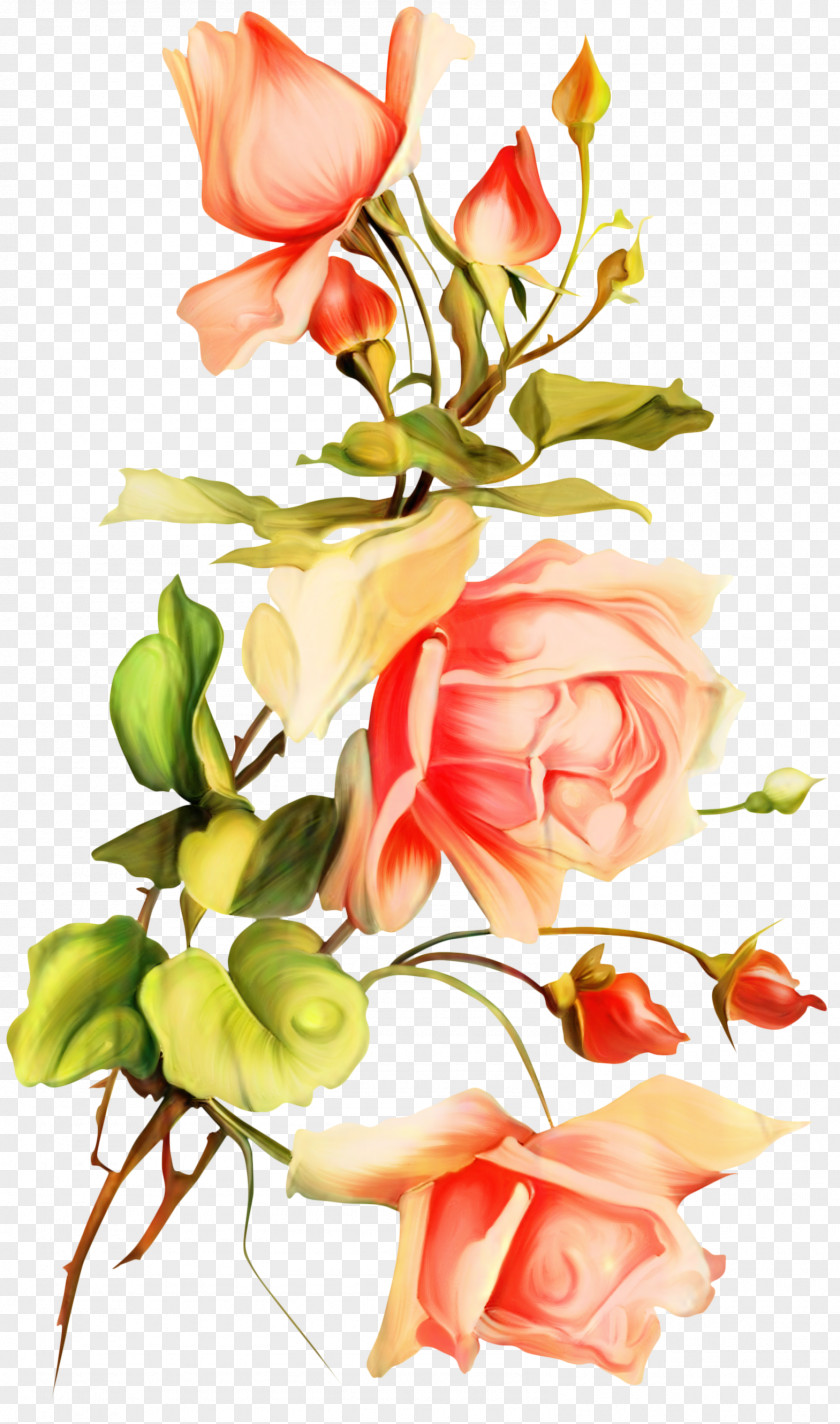 Garden Roses Floral Design Cut Flowers PNG