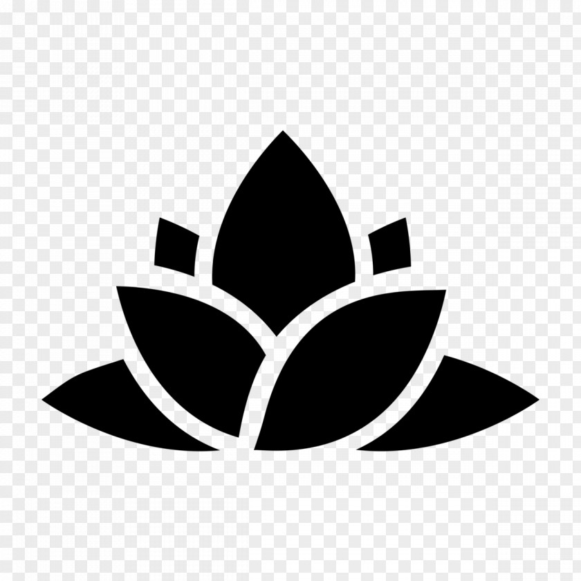 Ginseng Material Spa Flower Natural Skin Care Massage PNG