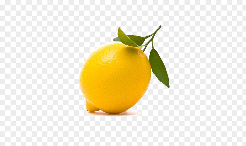Lemon Organic Lemons Juice Stock Photography Orange PNG