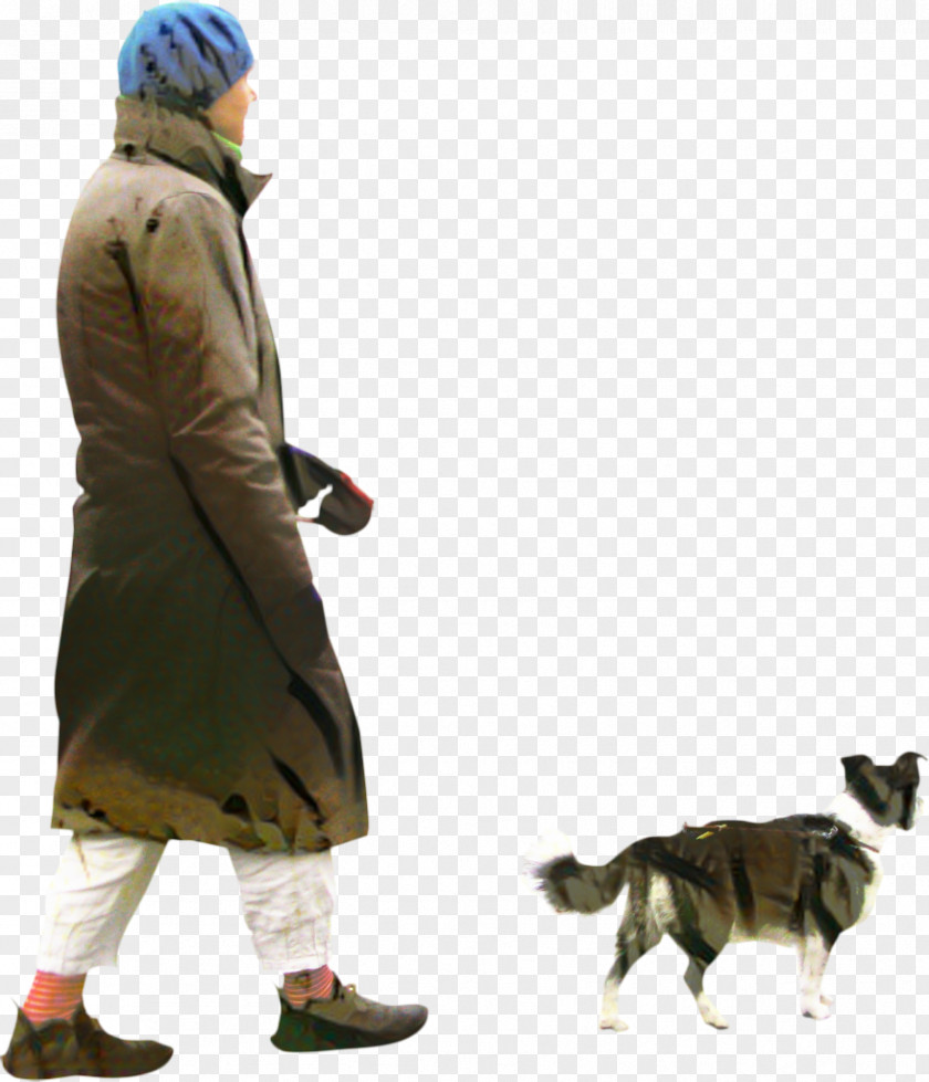 Outerwear Dog Border Collie PNG