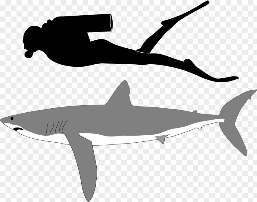 Sharks Goblin Shark Tiger Deep Sea Blue PNG