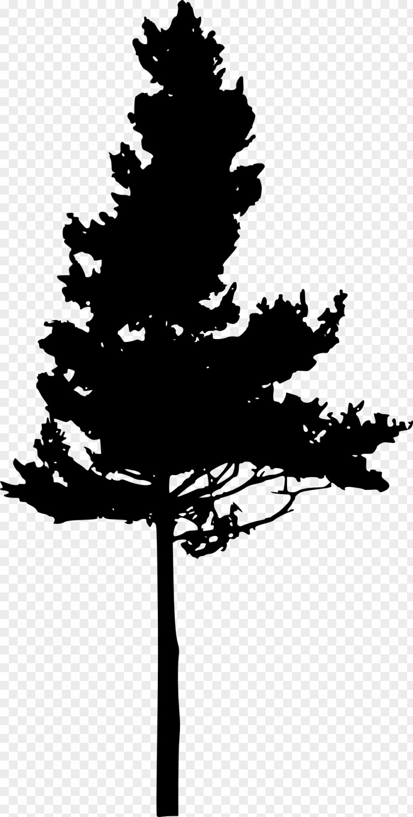 Silhouette Of Tree Pine Clip Art PNG