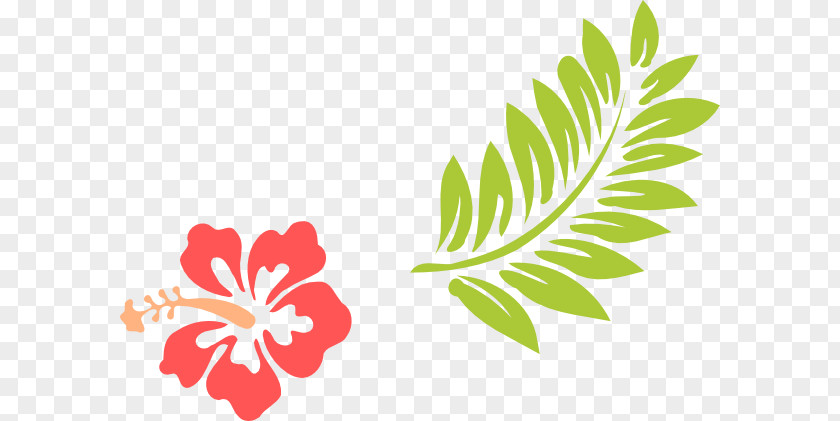 Tiki Torch Hawaii Rosemallows Drawing Flower Clip Art PNG