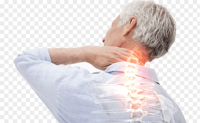 Back Pain Management Chiropractic Surgery Injury PNG