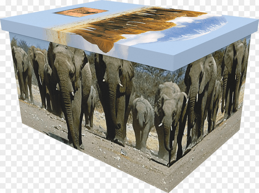 Casket Elephantidae PNG