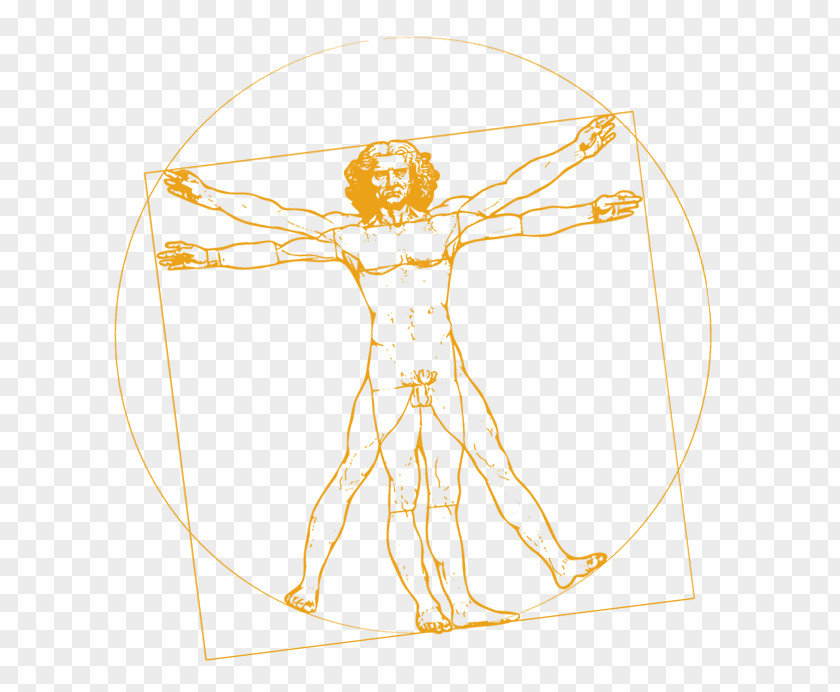 Painting Vitruvian Man The Last Supper Codex On Flight Of Birds Portrait A In Red Chalk Vinci PNG