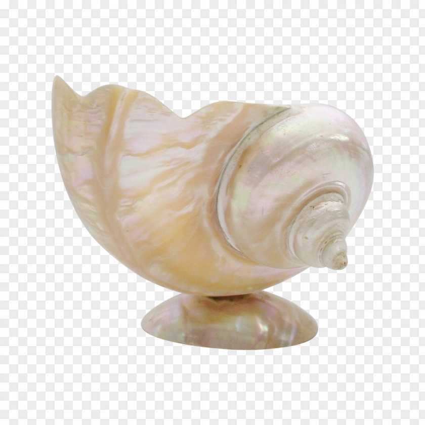 Pearl Shell Seashell Nacre Earring Antique PNG